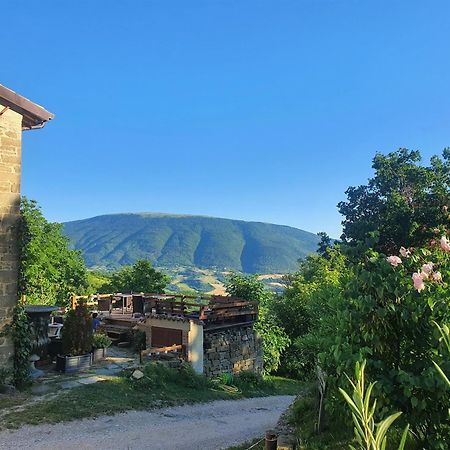Le Ginestre Guesthouse Ассізі Екстер'єр фото