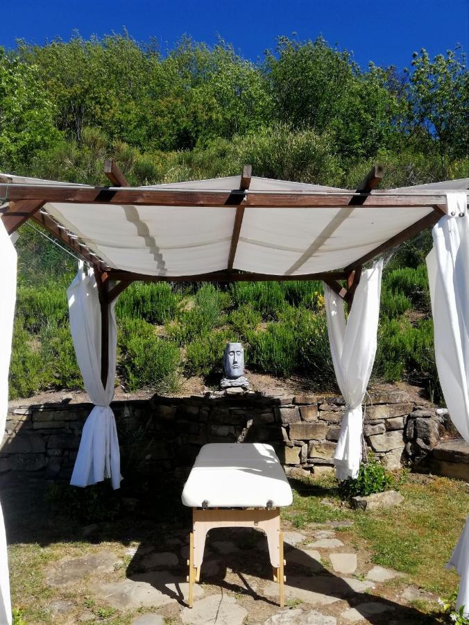Le Ginestre Guesthouse Ассізі Екстер'єр фото