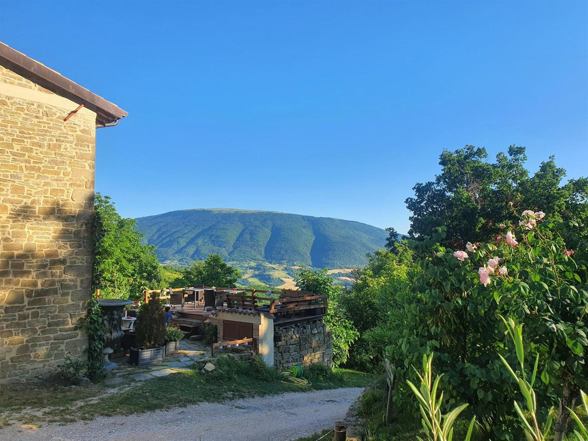 Le Ginestre Guesthouse Ассізі Екстер'єр фото