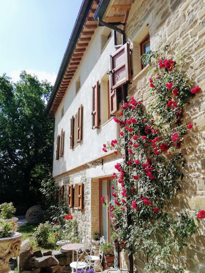 Le Ginestre Guesthouse Ассізі Екстер'єр фото